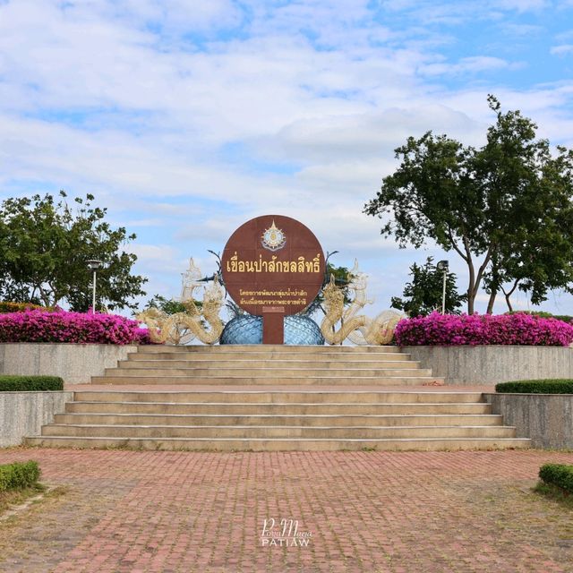 เที่ยวเขื่อนป่าสักชลสิทธิ์ ทางรถไฟลอยน้ำโคกสลุง