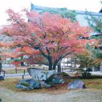 Kinkakuji Temple