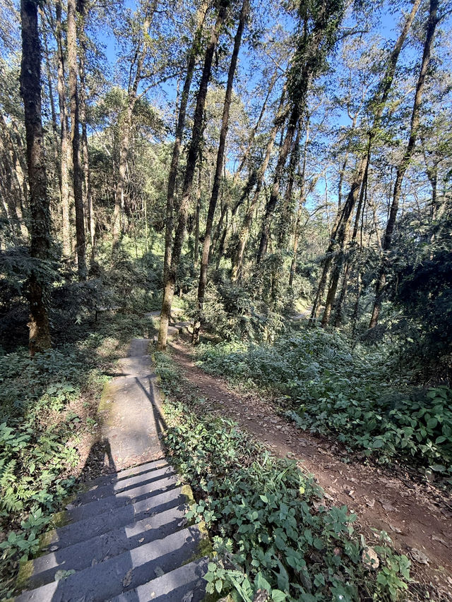 來鳳山森林公園徒步探險之旅 來鳳山森林公園徒步探險之旅