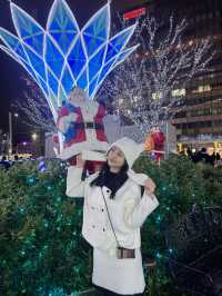 일본 일루미네이션&교통패스