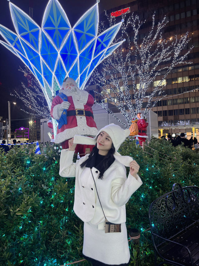 일본 일루미네이션&교통패스