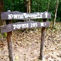 สะพานเรือนยอดไม้ จ.ตรัง