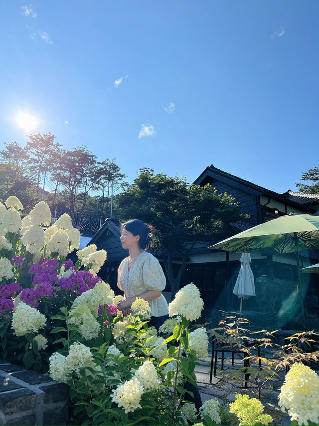 고즈넉한 한옥, 수국이 예쁜 포천 가비가배 카페 ☕️