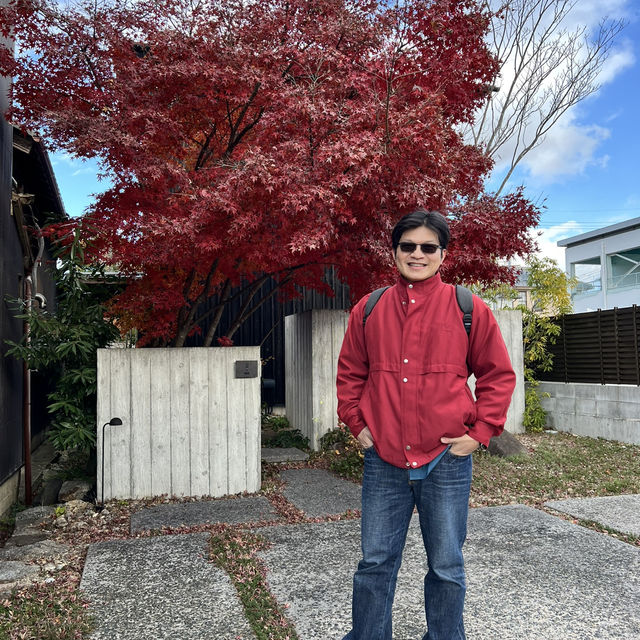 滋賀賞楓，你一定不能錯過八幡堀