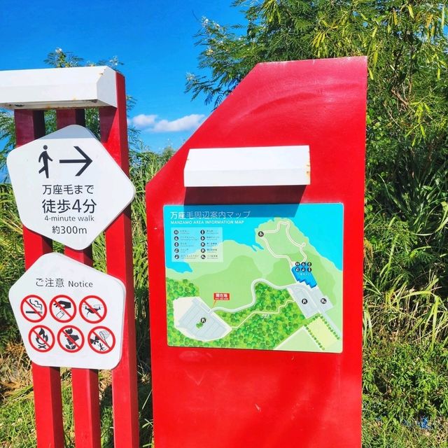 日本沖繩🌊|萬座毛海岸邊的視角🐘