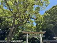 東京 - 在明治神宮感受歷史與現代的交融 🌳