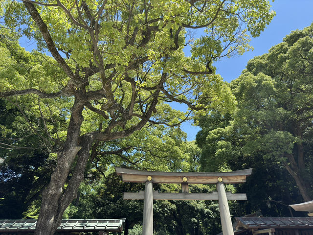 東京 - 在明治神宮感受歷史與現代的交融 🌳