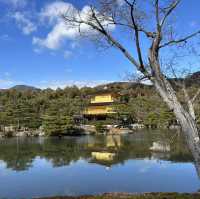 Kyoto was absolutely stunning and wins the hearts of millions