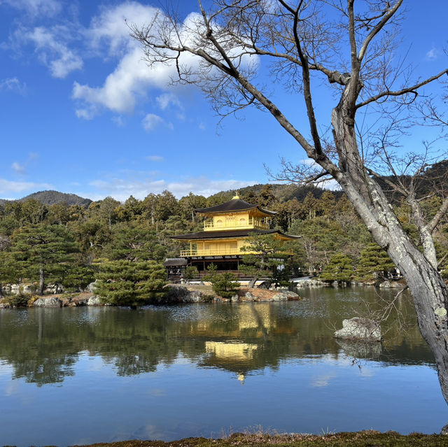 Kyoto was absolutely stunning and wins the hearts of millions