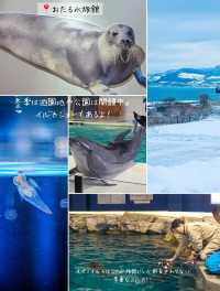 【北海道観光スポットまとめ！】各詳しい情報あり！