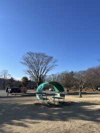 【小諸市🇯🇵】大型遊具で1日遊べる！とにかく広い大型公園🏞
