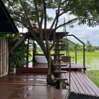 Breathe Rice Valley สันทราย เชียงใหม่ 