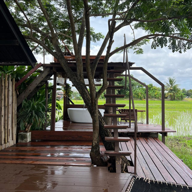 Breathe Rice Valley สันทราย เชียงใหม่ 