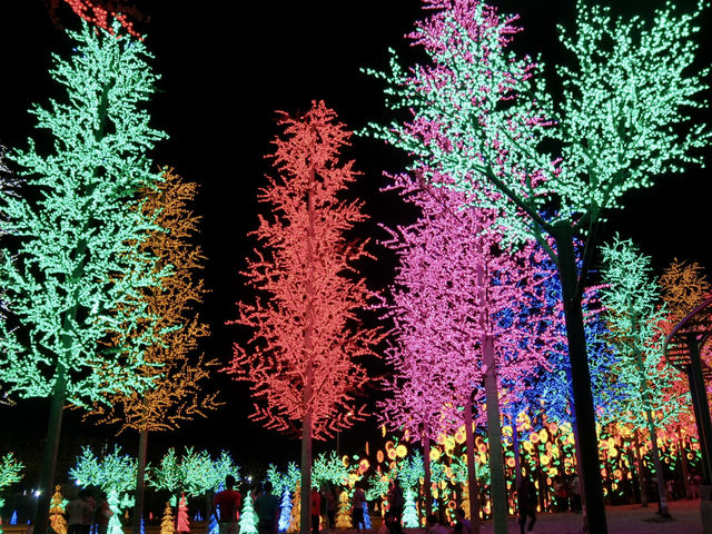 Magical Nights at Forest Light @ i-City: A Technicolor Dreamscape