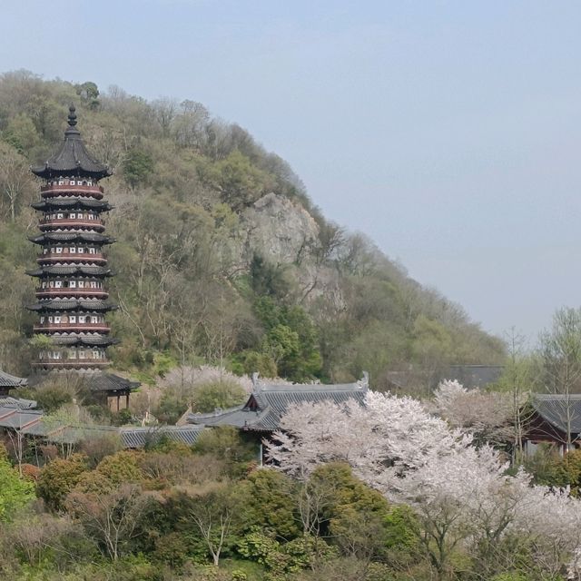 Nanjing Niushou mountain Half day trip 
