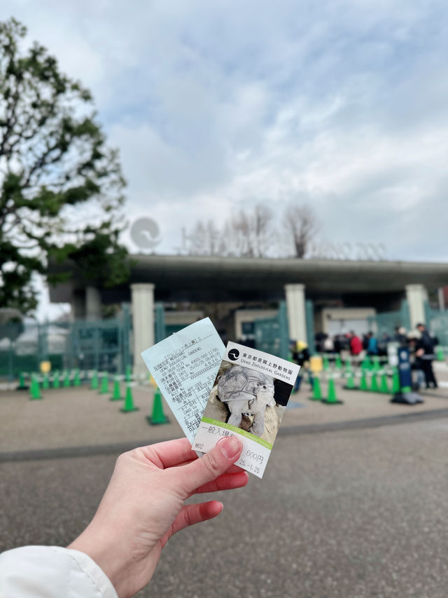 東京上野一日遊行程介紹🇯🇵🐼