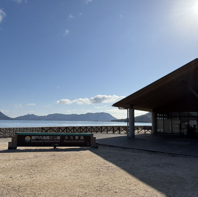 うさぎの島でめっちゃ癒された！