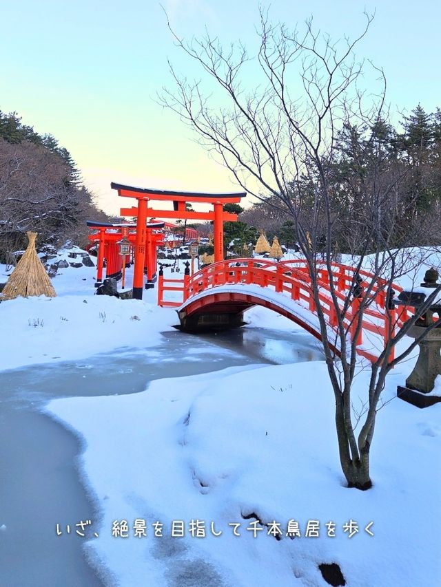 【青森／つがる市】雪の千本鳥居「髙山稲荷神社」⁡