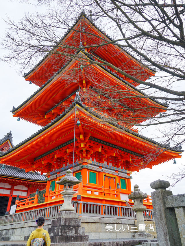 混んでいても行きたい京都の定番【清水寺】