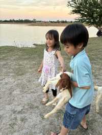 บ้านท่าฤทธิ์ ท้ายเขื่อนป่าสัก สระบุรี