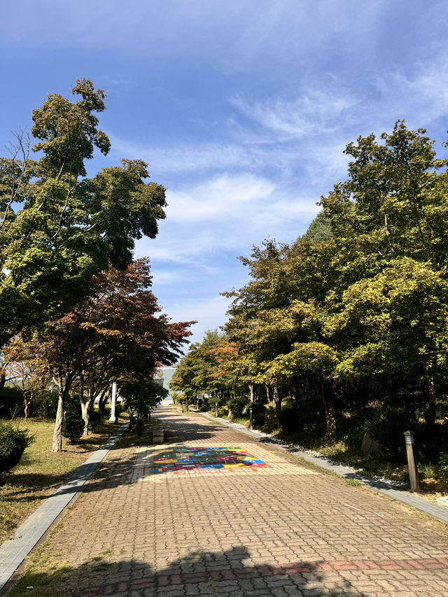 광주 서구 산책하기 좋은 예쁜 공원, 풍암생활체육공원