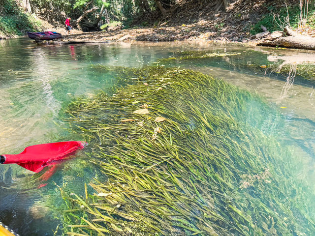 พายเรือคายัค น้ำผุดธรรมชาติบ้านท่าช้าง เขาใหญ่ 🛶🌳