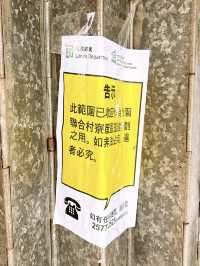 🎏黃大仙竹園鄉🥹逃不過時代巨輪‼️巷仔掃街成回憶