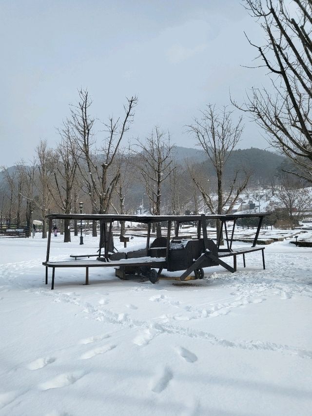 애니멀팜이 있는 평창 무료관람 공원