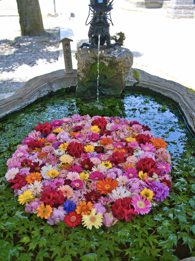 【大分】縁結びのパワースポット💪花手水もある神社で良縁祈願💐 