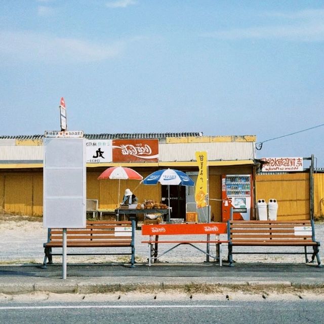 志賀島：潮間帶的寶藏地圖