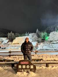 Hida folk village