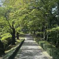 長居公園-都市裡的一片清新綠洲