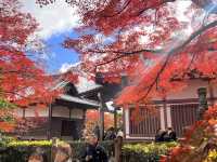 The Everlasting Light of Wisdom in Nirvana — The Jojakko-ji Temple in Arashiyama 