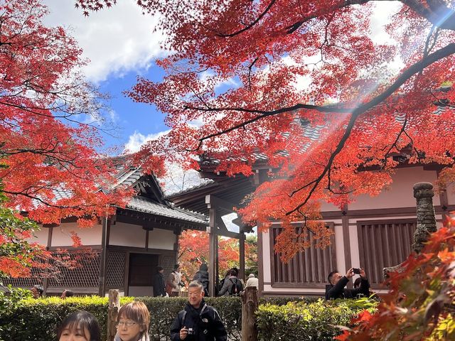 The Everlasting Light of Wisdom in Nirvana — The Jojakko-ji Temple in Arashiyama 