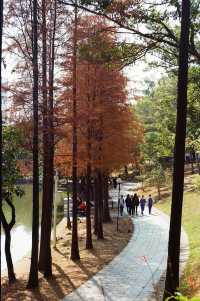 Urban Oasis in Shenzhen — The Lianhuashan Park