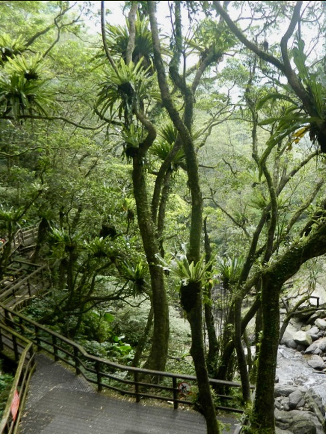滿月圓國家森林遊樂區賞瀑布去