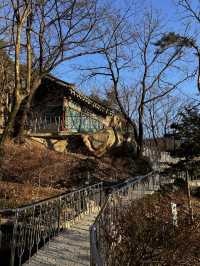 추운데도 절 마당을 스치는 바람 소리를 느낄수 있는 삼성산 보장사🇰🇷