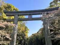 福岡春天漫步散策：⛩️福岡護國神社 + 🌳大濠公園日本庭園
