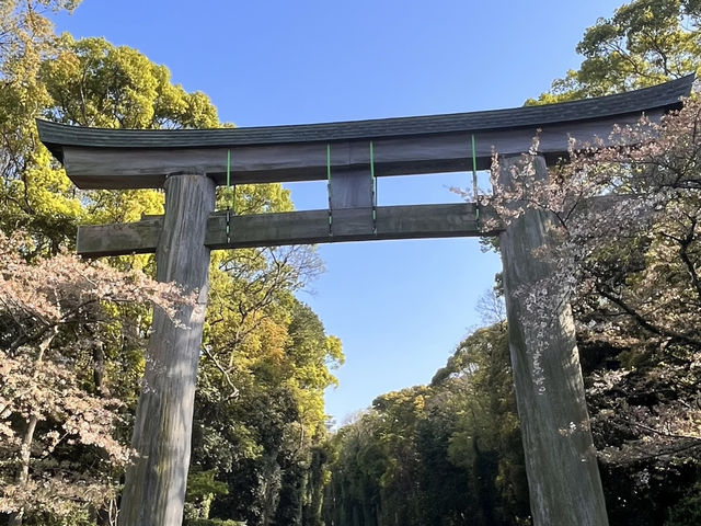 福岡春天漫步散策：⛩️福岡護國神社 + 🌳大濠公園日本庭園