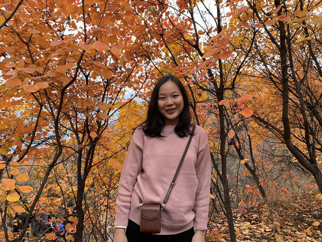 Pofeng Ridge 坡峰岭 is a Hidden Gem for Hikers 🌿🏞️