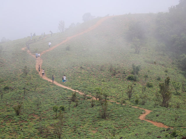 Coorg, beautiful village in Karnataka, India 🇮🇳