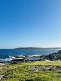 Trip to Sydney
