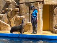 桃園 Xpark沉浸式水族館，探索奇幻海洋世界