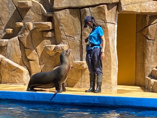 桃園 Xpark沉浸式水族館，探索奇幻海洋世界