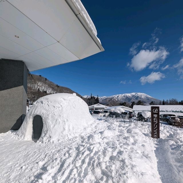 🇯🇵岩手「雫石王子飯店」 東北粉雪天堂，性價比超高的滑雪度假體驗