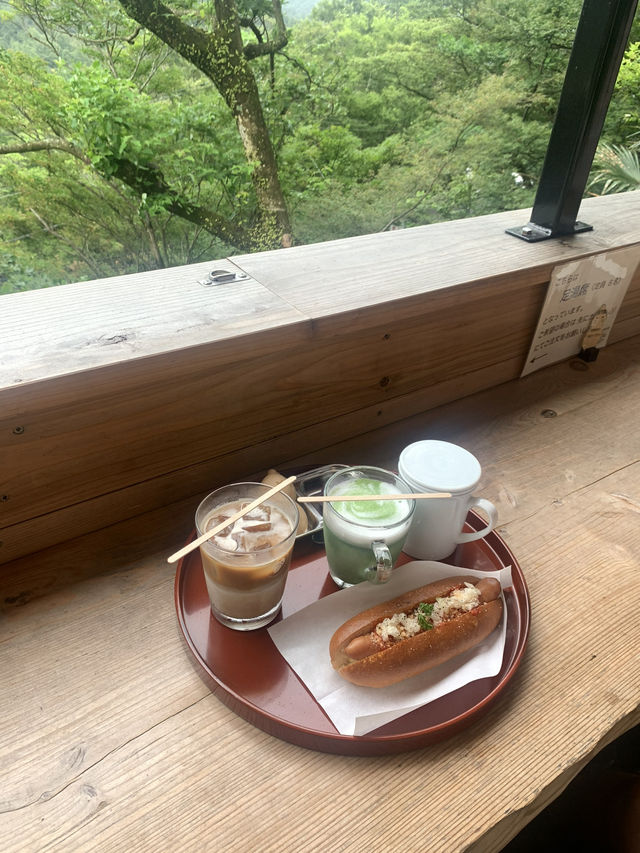 【神奈川・箱根】絶景を楽しむNARAYA CAFE☕️♨️
