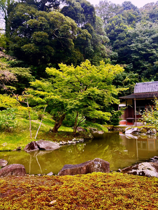  【神奈川県　北鎌倉の円覚寺でメディテーションと芥川文学の世界観に浸るひと時】