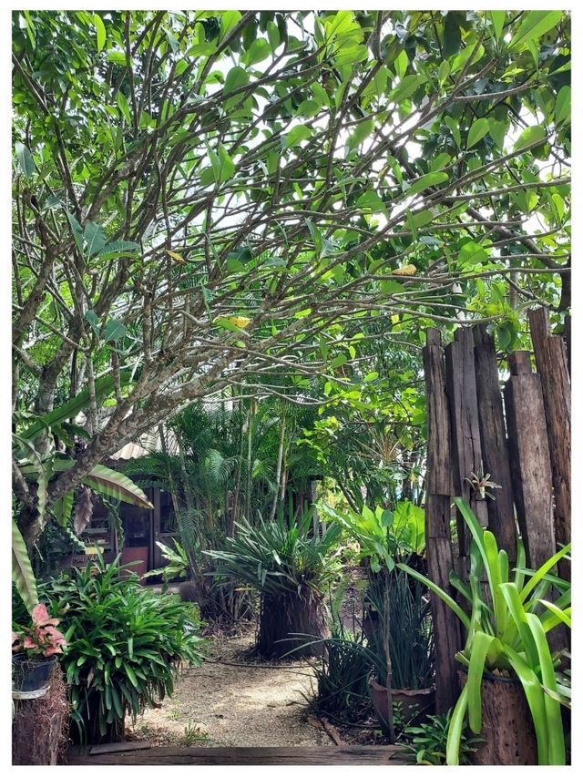 คาเฟ่บรรยากาศเงียบสงบ @ อุดรธานี