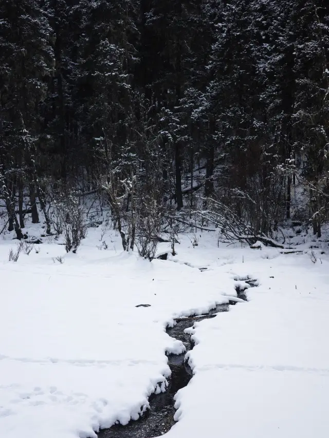 Shangri-La Pudacuo: A Winter Wonderland