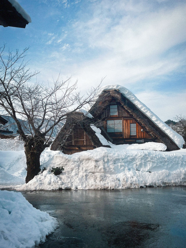 인생에서 꼭 한번 가봐야 할 겨울 여행지❄️